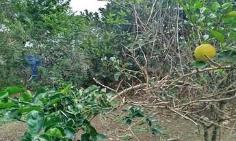 Imagem 4: 450M² de Área Total na Rua Doze