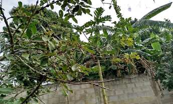 Imagem 6: 450M² de Área Total na Rua Doze