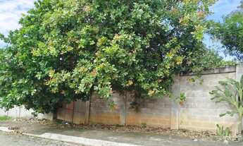 Imagem 5: 450M² de Área Total na Rua Doze