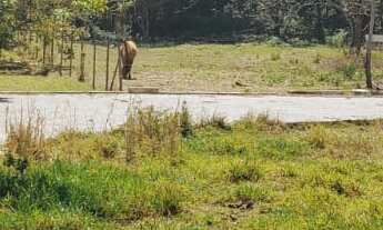 Imagem 5: 525M² de Área Total na Rua Piauí