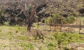 Imagem 6: 525M² de Área Total na Rua Piauí