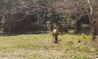 Imagem 4: 525M² de Área Total na Rua Piauí