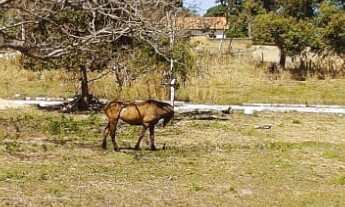 Imagem 2: 525M² de Área Total na Rua Piauí