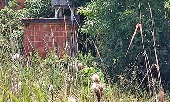 Imagem 2: 360M² de Área Total na Rua 39