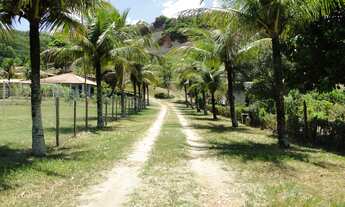 Imagem 4: 10 dormitórios na Avenida Oliveira Viana