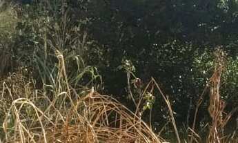 Imagem: 450M² de Área Total na Avenida Nossa Senhora