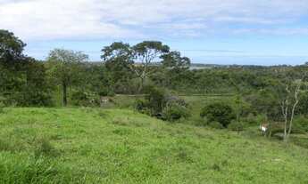 Imagem: Na Estrada Zito Monteiro De Abreu