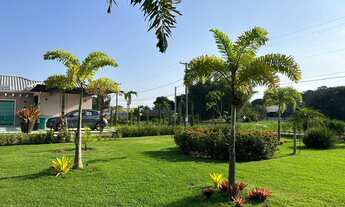 Imagem 6: 3 dormitórios na Rodovia Verua Oldemar Guedes Figueiredo