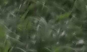 Imagem 2: 1 dormitório na Rua Presidente Costa E Silva