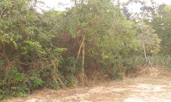 Imagem 4: 721M² de Área Total na Rua 01