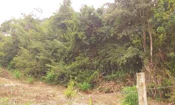 Imagem 3: 721M² de Área Total na Rua 01