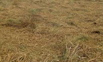 Imagem 7: 450M² de Área Construída na Rua 16