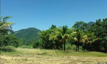Imagem 2: 3 dormitórios na Estrada Latino Melo