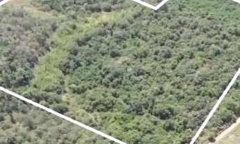 Imagem: Na Estrada Do Pau De Ferro