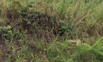 Imagem 3: 2345M² de Área Total na Estrada Da água Branca