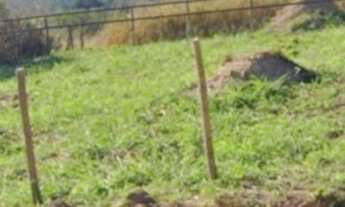 Imagem: 730M² de Área Total na Avenida Nova Saquarema