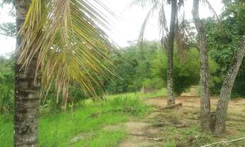 Imagem 5: 3 dormitórios na Estrada Latino Melo