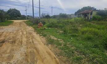 Imagem 2: 600M² de Área Total na Rua 03