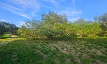 Imagem: 2000M² de Área Total