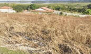 Imagem 3: 742M² de Área Total na Avenida Nova Saquareme