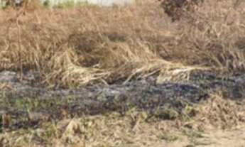 Imagem 2: 742M² de Área Total na Avenida Nova Saquareme