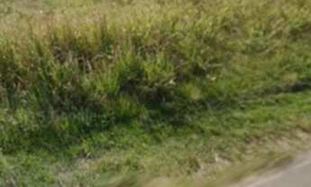 Imagem 6: 742M² de Área Total na Avenida Nova Saquareme