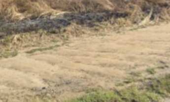 Imagem: 742M² de Área Total na Avenida Nova Saquareme