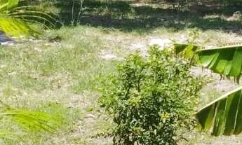 Imagem 2: 3 dormitórios na Rua Antônio Ferreira Maciel