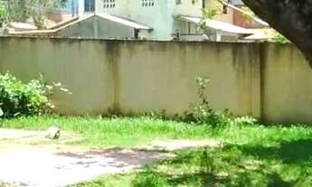 Imagem 6: 3 dormitórios na Rua Antônio Ferreira Maciel