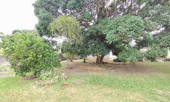 Imagem 4: 4 dormitórios na Rua Jacarepiá