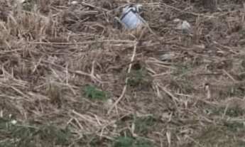 Imagem: 448M² de Área Total na Rua Das Conchas