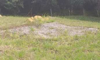 Imagem 4: 450M² de Área Total na Avenida água Branca