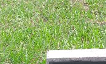 Imagem 2: 450M² de Área Total na Avenida água Branca