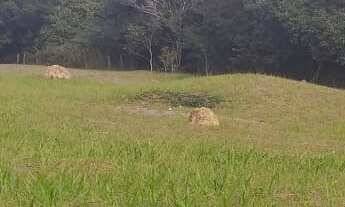 Imagem: 450M² de Área Total na Avenida água Branca