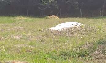 Imagem 6: 450M² de Área Total na Avenida água Branca