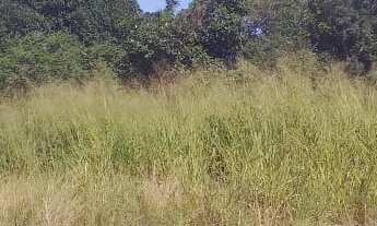 Imagem: 613M² de Área Total