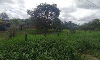 Imagem: 450M² de Área Total na Rua G Com