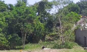 Imagem 3: 450M² de Área Total na Rua Das Conchas