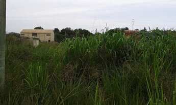 Imagem: 360M² de Área Total na Rua 41