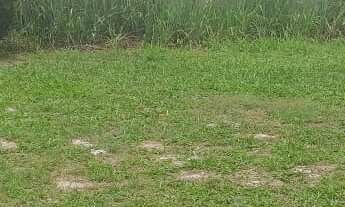 Imagem 2: 3 dormitórios na Rua Praia De Mecuipe