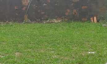 Imagem 4: 3 dormitórios na Rua Praia De Mecuipe