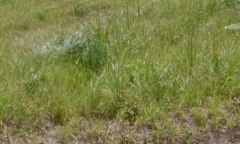 Imagem 3: 500M² de Área Total