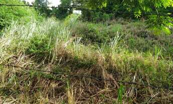 Imagem 2: 1350M² de Área Total na Avenida Almirante Tamandaré