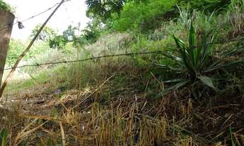 Imagem 3: 1350M² de Área Total na Avenida Almirante Tamandaré