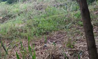 Imagem 5: 1350M² de Área Total na Avenida Almirante Tamandaré