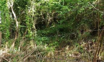 Imagem 6: 1350M² de Área Total na Avenida Almirante Tamandaré