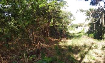 Imagem: 450M² de Área Total na Rua Peres Manoel