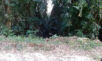 Imagem: 375M² de Área Total na Rua Estrela