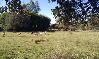 Imagem 2: 4 dormitórios na Rodovia Aristides Da Costa Barros