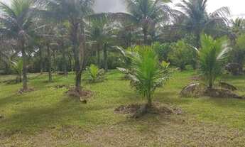 Imagem 2: 4 dormitórios na Rua 17